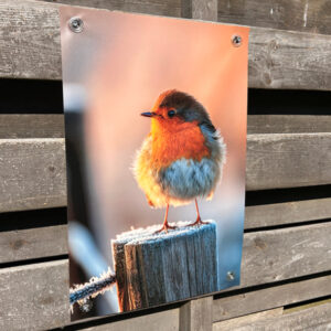 Tuinposter met eigen foto aan houten schutting in de tuin