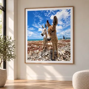 Foto afdrukken op groot formaat
