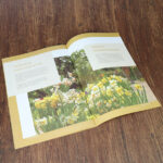 Brochure-2.jpg