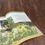 Brochure-3.jpg