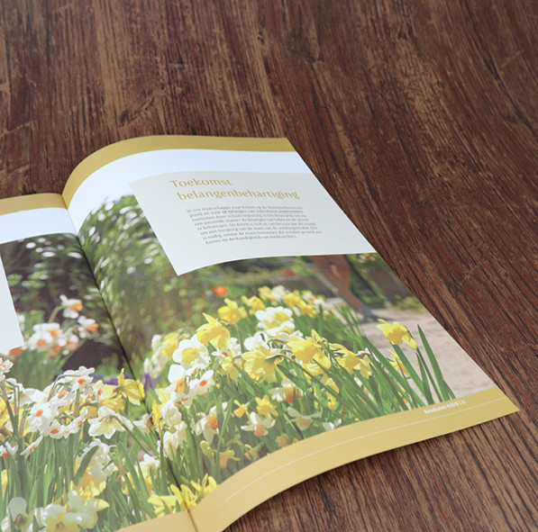Brochure-3.jpg