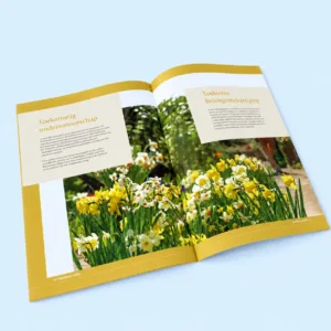 Brochures geheel naar uw wens samengesteld en ontworpen