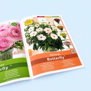Productcatalogus voor bedrijven en organisaties