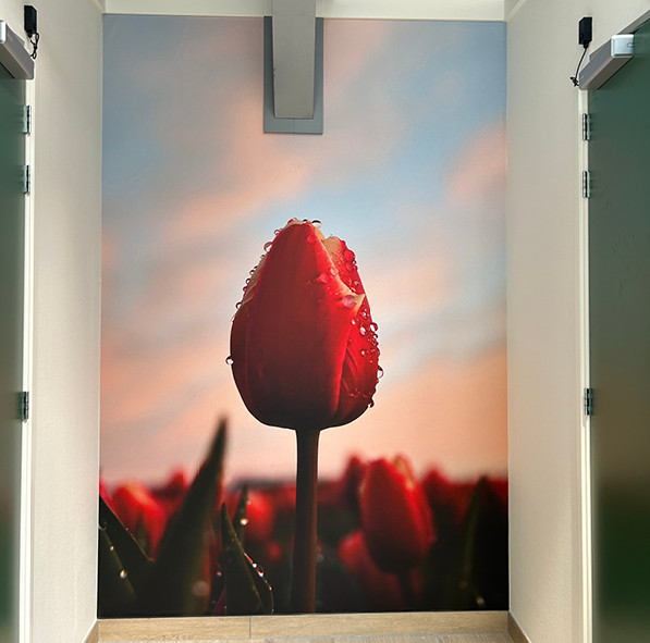 Fotobehang-6.jpg