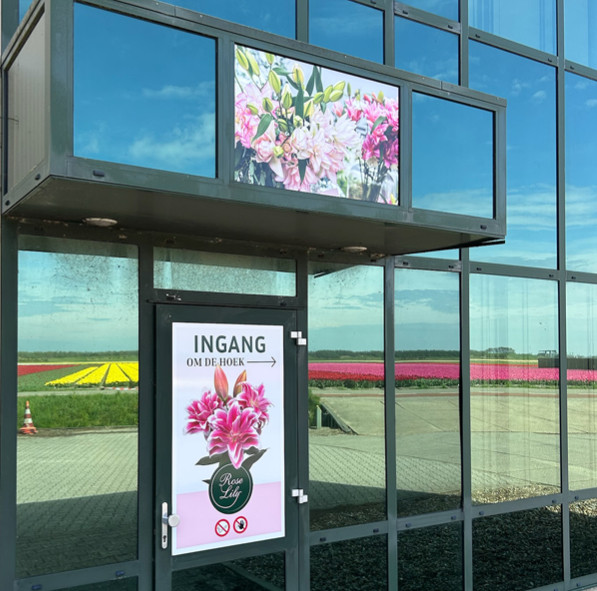 Gevel-roselily.jpg
