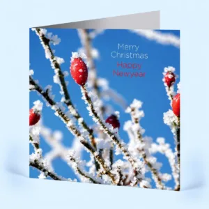 Winterse kerstkaart met bedrukte binnenzijde met eigen kerstwens