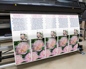 Print producten bij Rowa