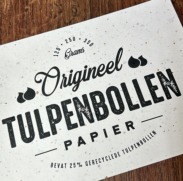 Tulpenbollen papier